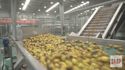 深耕农产品深加工，培育高成长企业 推动生态特色食品产业转型升级