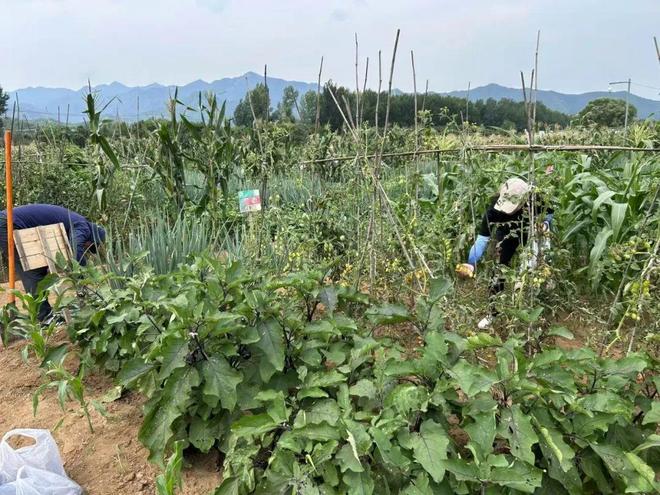 夜半惊雷，密云农场在洪水中失守